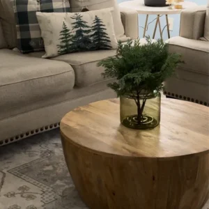 Wooden Round Coffee Table -Unique Drum Home Decor Table photo review