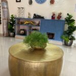 Round Wooden Drum Table | Cocktail Table | Dinner Table photo review