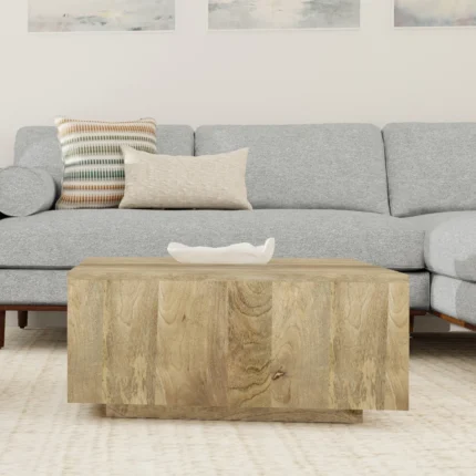 Solid Wood Square Coffee Table for Living Room | Modern Center Table | Natural Mango Wood Coffee Table